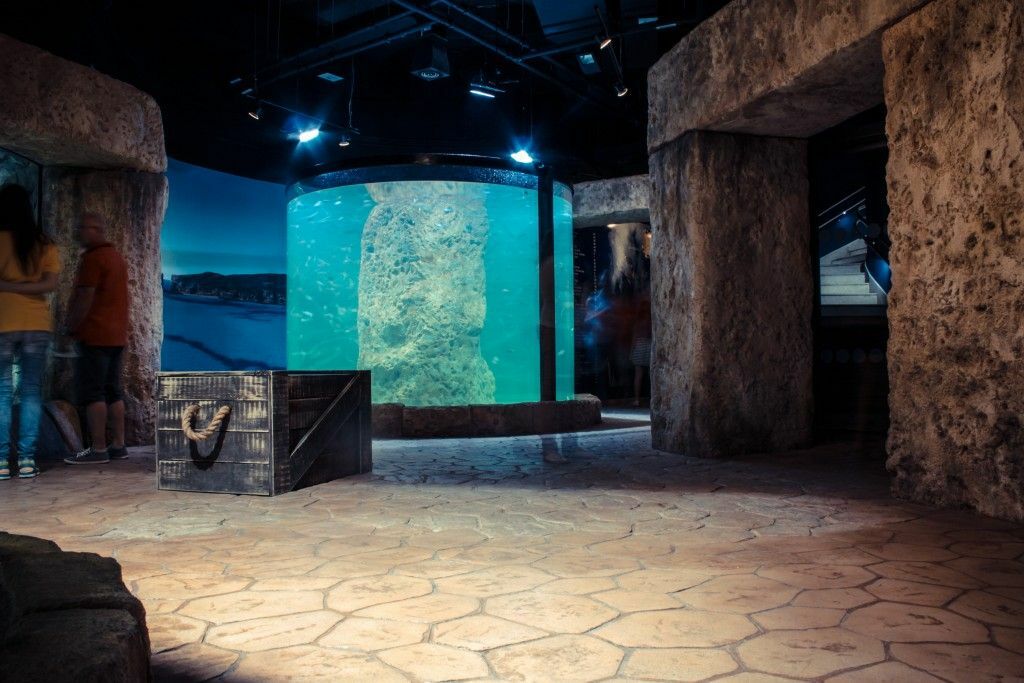 Malta National Aquarium (52)